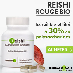 Reishi Rouge Bio (Ganoderma lucidum)