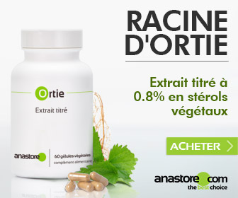 Racine d'ortie