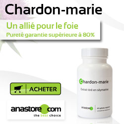 Chardon-marie