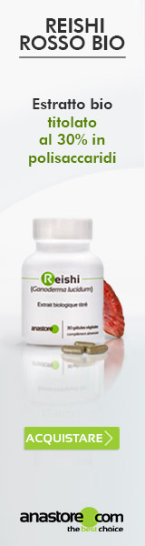 Reishi Rosso Bio (Ganoderma lucidum)
